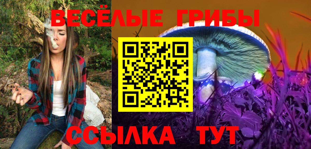 Псилоцибиновые грибы Psilocybine cubensis Балахна