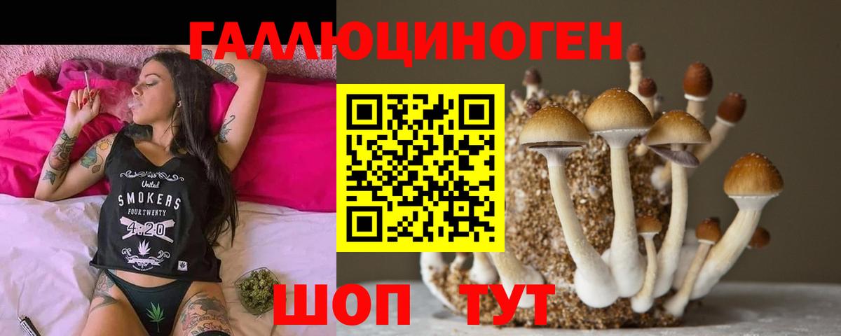 Балахна  Псилоцибиновые грибы Psilocybine cubensis  Вход с VPN 